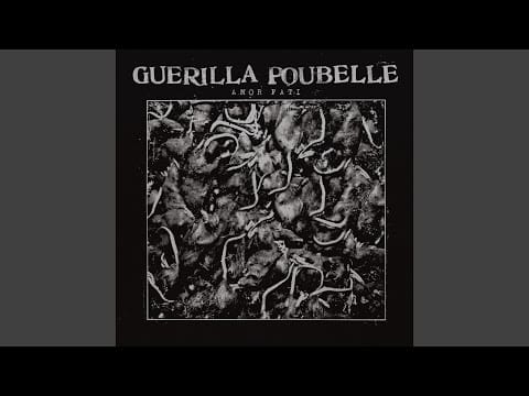Guerilla Poubelle — Seuls au pluriel