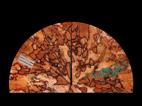 Maxwell Sterling — Maxwell Sterling - Decay Time