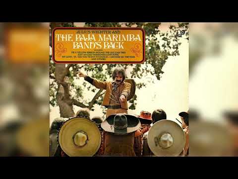 Baja Marimba Band — 11 Just an Old Fashioned Love Song