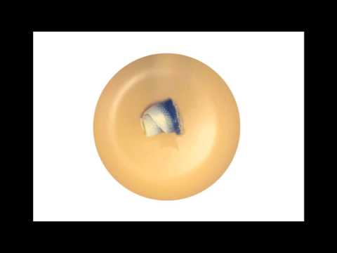 TOMPAUL — TOMPAUL - Ocean (Steffen Sonnenschein Remix)