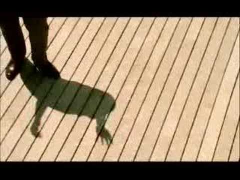 Shaun Escoffery — Shaun Escoffery - Days Like This