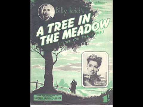 Dorothy Squires — Billy Reid Orch voc Dorothy Squires A Tree In The Meadow 1948