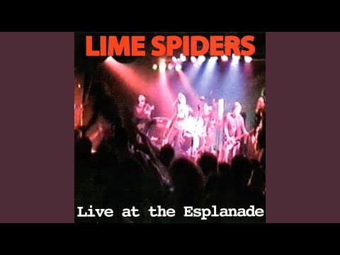 The Lime Spiders — The Dead Boys (Live)