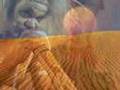Rolf Harris — Rolf Harris -- Sun Arise