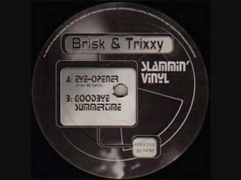 Brisk & Trixxy — BRISK & TRIXXY  -  GOODBYE SUMMERTIME