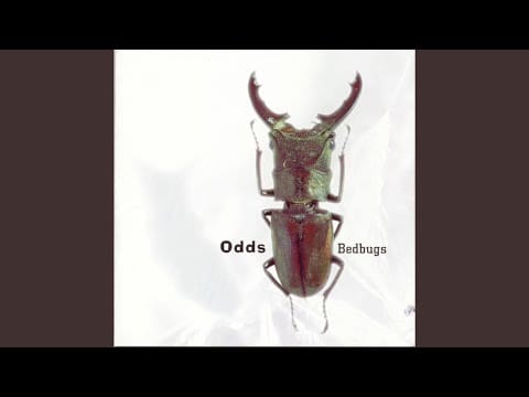 Odds (2) — Car Crash Love
