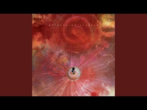 Animals as Leaders — Another Year