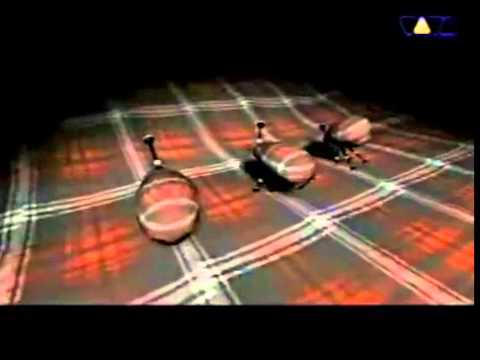 Perplexer — Perplexer  - Acid Folk [1994]