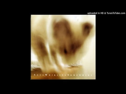 Soulwhirlingsomewhere — Soul Whirling Somewhere - Pyewackit