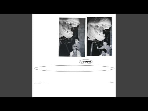 Vegyn — Aspenz