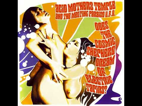 Acid Mothers Temple & The Melting Paraiso UFO — The Assassin's Beautiful Daughter