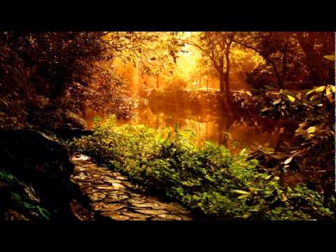 DJ Ton T.B. — Dj. Ton T.b. - Many tons overload