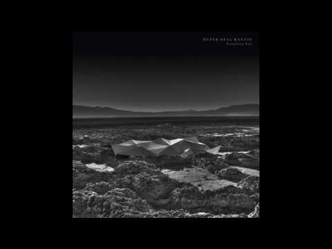 Kangding Ray — Kangding Ray - OUTREMER [Stroboscopic Artefacts SALP005 - SACD008]