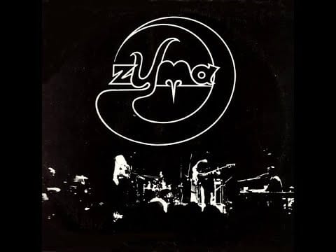 Zyma — Zyma / Thoughts