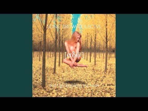 Sonic Dream Collective — Don't Go Breaking My Heart - Birch & Chris Swing Mix