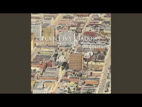 Purple Ivy Shadows — Circleye (Live)
