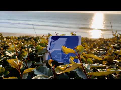 Blank & Jones — Blank & Jones feat. Zoe Durrant - Erase / Rewind (Official Video)