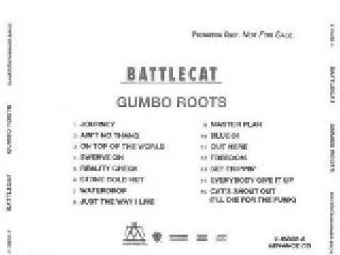 DJ Battlecat — Battlecat - Ain't No Thang