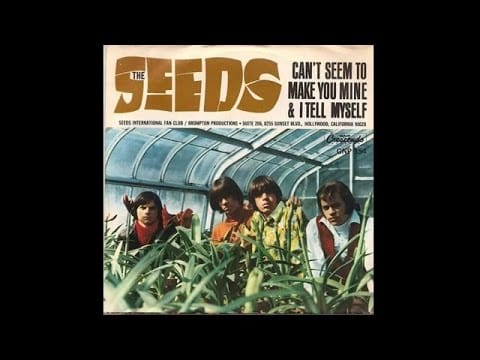 The Seeds — The Seeds - Can't Seem to Make You Mine (1965)