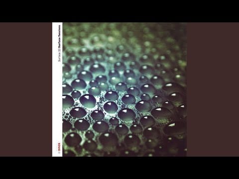 Surface 10 — Dawn / Bleep / Dusk