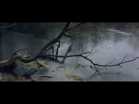 Electronic Music Experiment Studio Ensemble — Отрывок из фильма "Солярис"