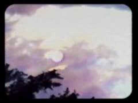 Manitoba — Caribou - Jacknuggeted
