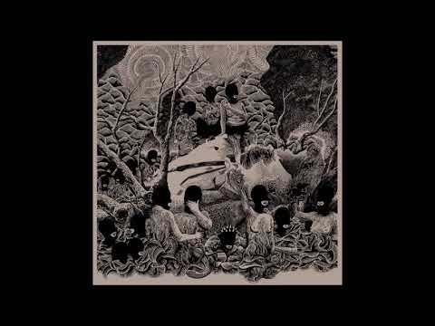 Coma Regalia — MAJOREL - Behind Glass