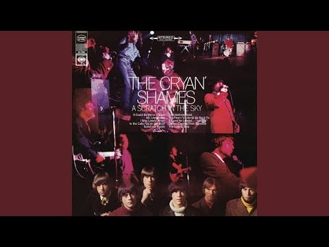 The Cryan' Shames — Up On the Roof