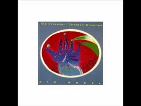 The Screamin' Cheetah Wheelies — Dragon Park - The Screamin' Cheetah Wheelies