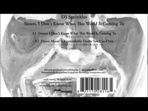 DJ Sprinkles — DJ Sprinkles -  Grand Central, Pt. I (Deep Into The Bowel Of House) (MCDE Raw Mix)