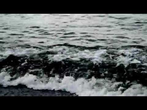Ricardo Tobar — Ricardo Tobar. Hundreds
