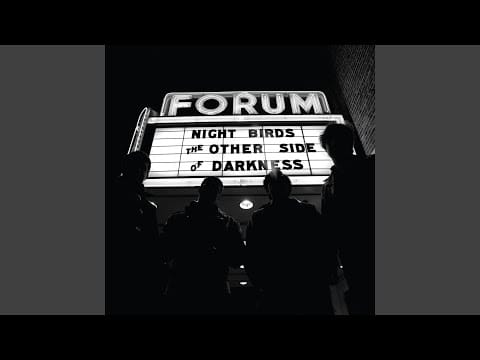 Night Birds — Paranoid Times