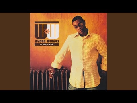 Wayne Wonder — The Mood Is Right