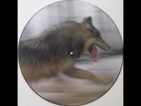 Dave Clarke — Dave Clarke - The wolf - The Wolf EP - Skint ‎– Skint 78