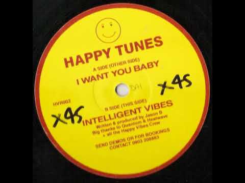 Happy Tunes — Happy Tunes - Intelligent Vibes [HVR003 B]