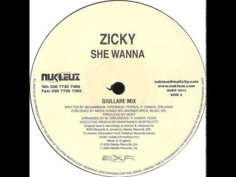 Zicky — Zicky - She Wanna (Giullare Mix)