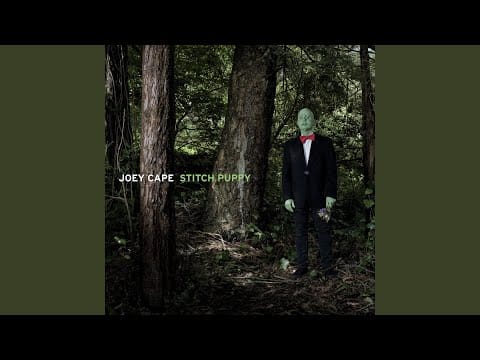 Joey Cape — Spill My Guts