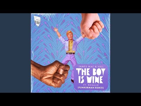 James Mac (3) — The Boy Is Mine (feat. Rosalie) (Funkerman Extended Remix)