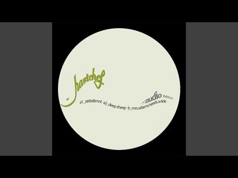 Audio Werner — Str8St8Mnt