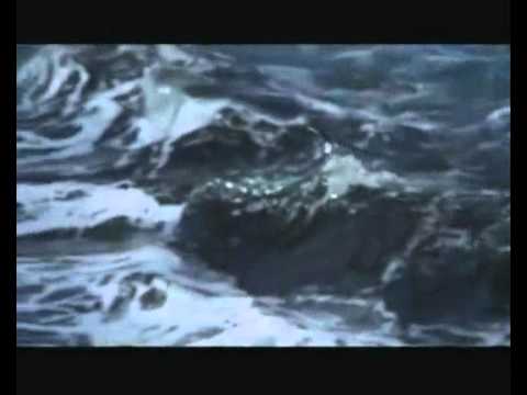 Congreso — Congreso. " Del albatros o del amor " . Los Fuegos del Hielo.