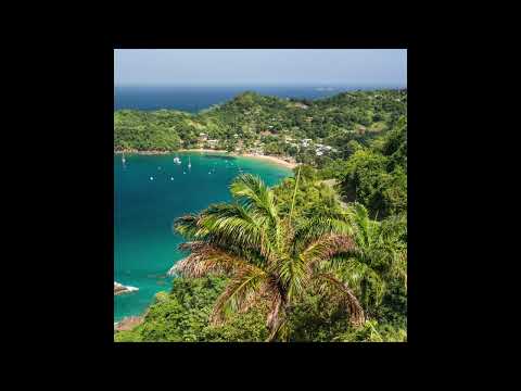 Geese (11) — Geese - Trinidad (Official Audio)