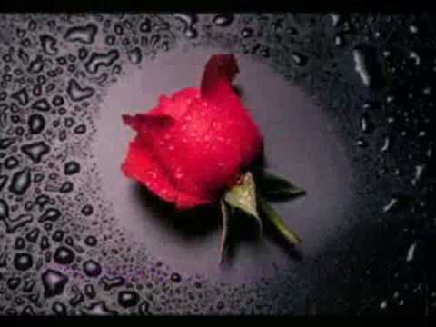 Leonardo Favio — O QUIZAS TE REGALE UNA ROSA de LEONARDO FAVIO