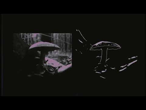 Thibault (8) — Thibault - See The World (Official Music Video)