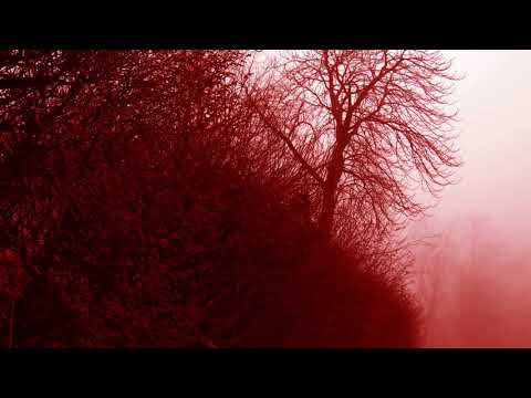 Sun Devoured Earth — Sun Devoured Earth  -  Life Is Poison