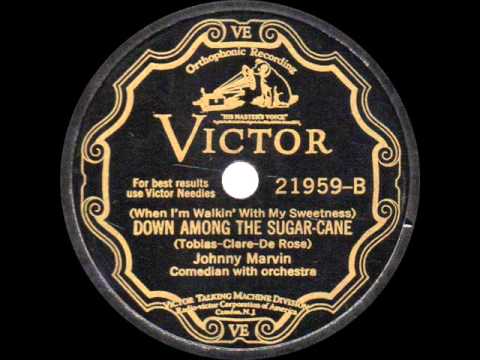 Johnny Marvin — Johnny Marvin - Down Among the Sugar Cane - 1929