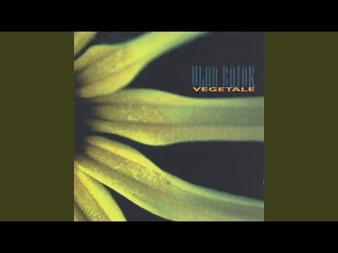 Ulan Bator — Fièvre hectique