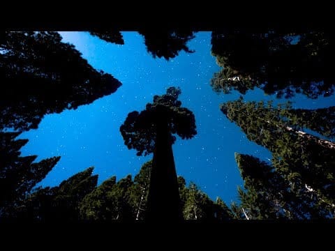 Vacationer — Vacationer - Being Here (Official Video)