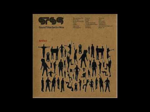 Sound Tribe Sector 9 — SOUND TRIBE SECTOR 9 - POSSIBILITIES (1320-SSA006V)