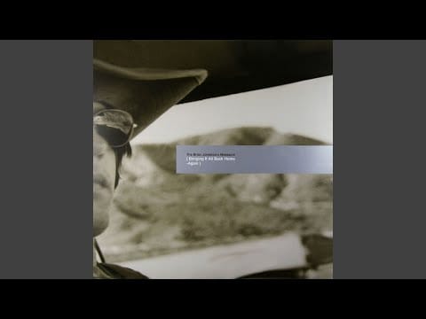 The Brian Jonestown Massacre — Reign On