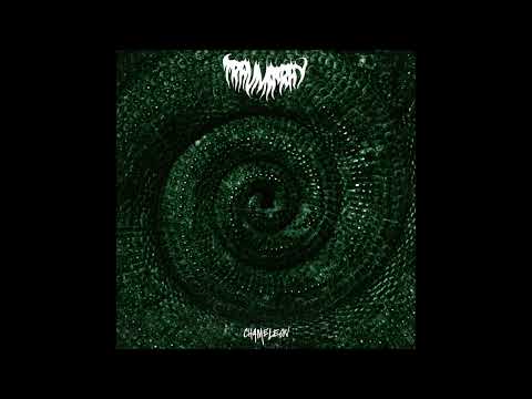 trauma ray — Trauma Ray - Chameleon 2024 (Full Album)